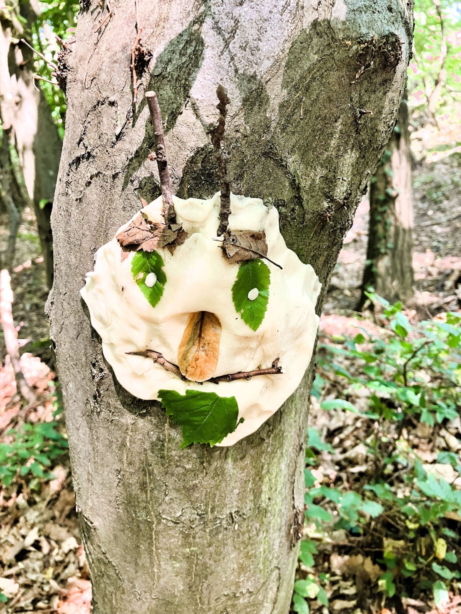 Ferienbetreuung im SommerNaturcamp 2026