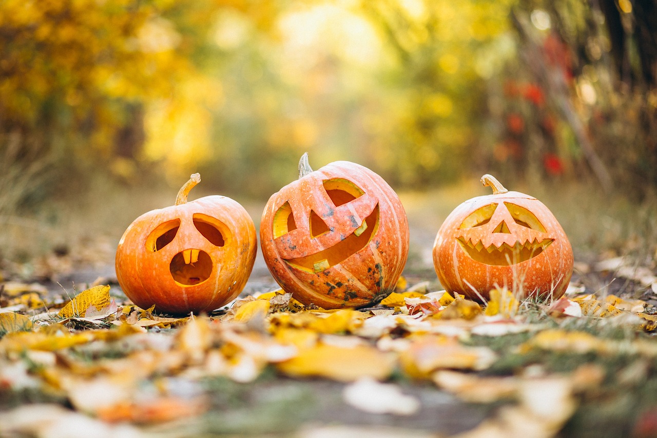 HerbstNaturcamp 27. – 31.10.25