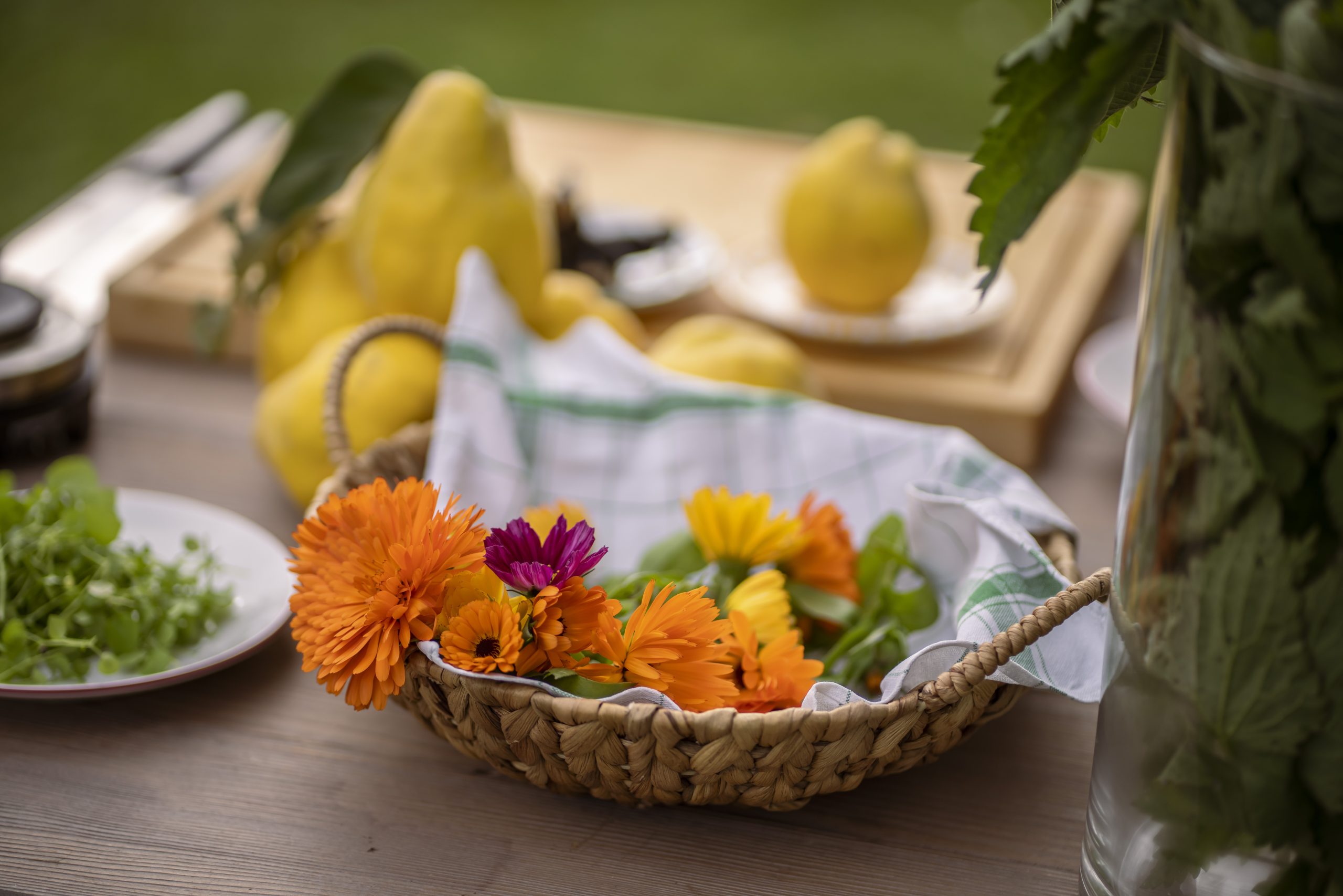 „Wild Spa“ – ein entspannter Tag im Naturgarten mit wilden Blüten & Kräutern