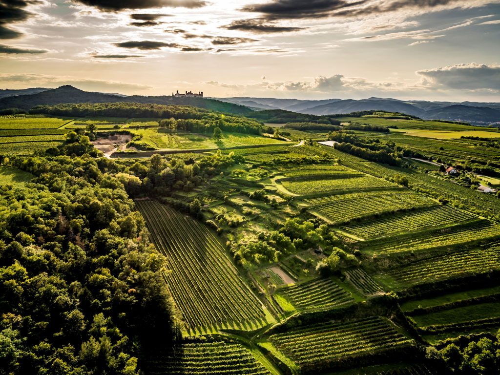 Weitblick in die Wachau mit Blick Richtung Stift Göttweig