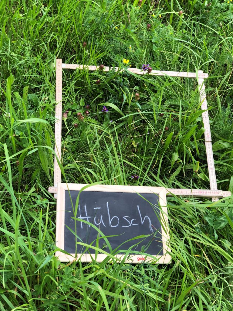 Wiese als Lernraum für Naturvermittlung und achtsames Beobachten